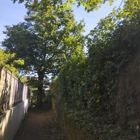 Emplacement De Toile De Tente Dans Jardin * Cugand